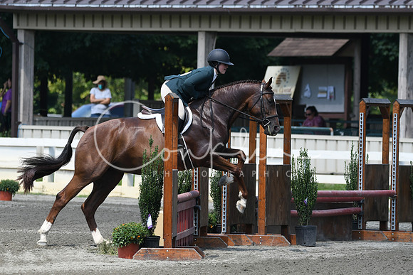 HSM_0545