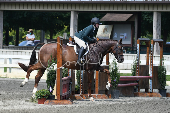 HSM_0546