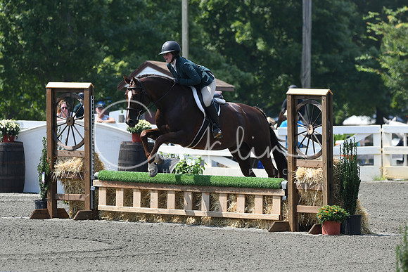 HSM_0579