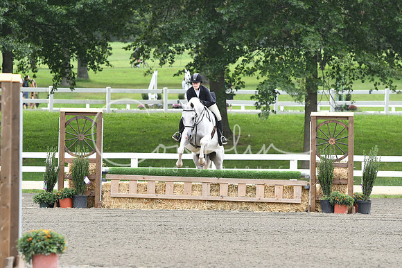 HSM_2493