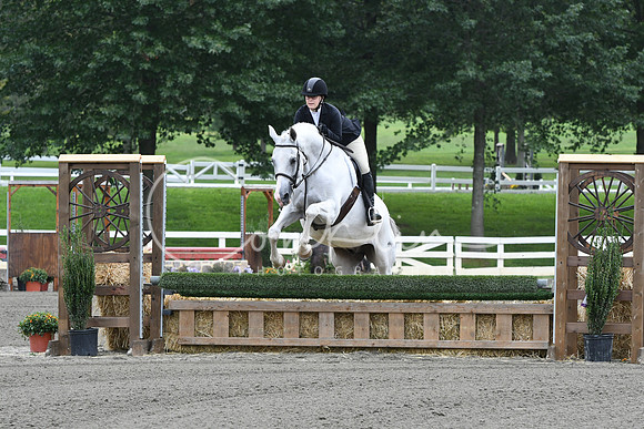 HSM_2496