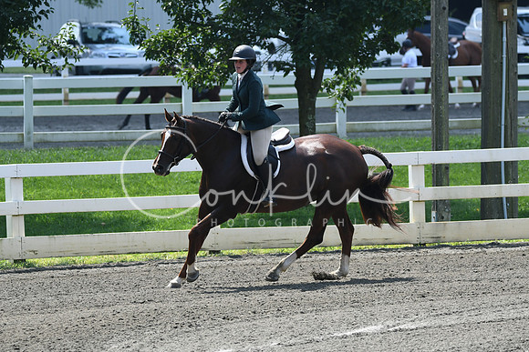 HSM_0583