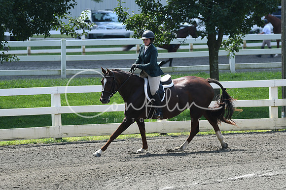 HSM_0584