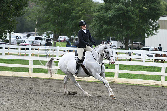 HSM_2531