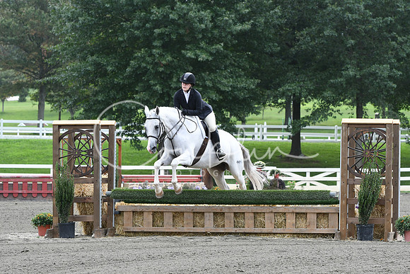 HSM_2536