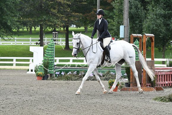 HSM_2580