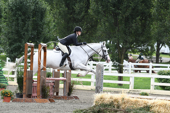 HSM_2594
