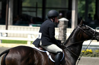 HSM_0637