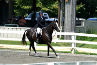 HSM_0675