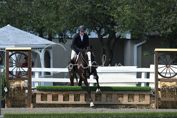 HSM_0679