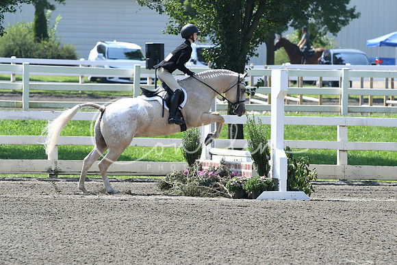 HSM_0419
