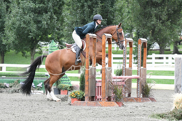 HSM_4964