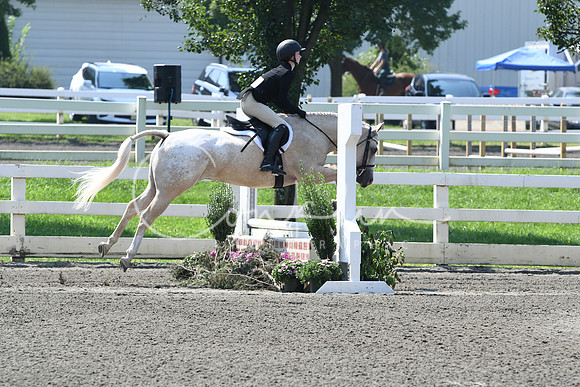 HSM_0420