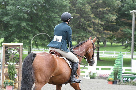 HSM_4969