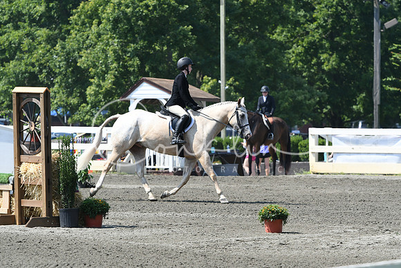 HSM_0427