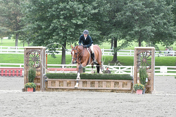 HSM_5020