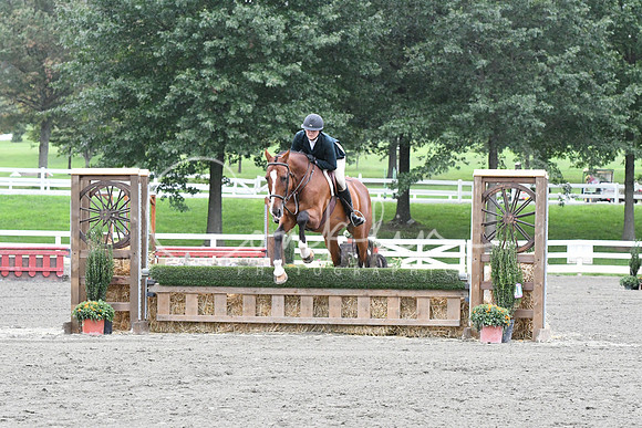 HSM_5019