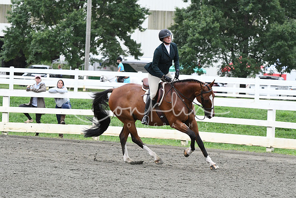 HSM_5028