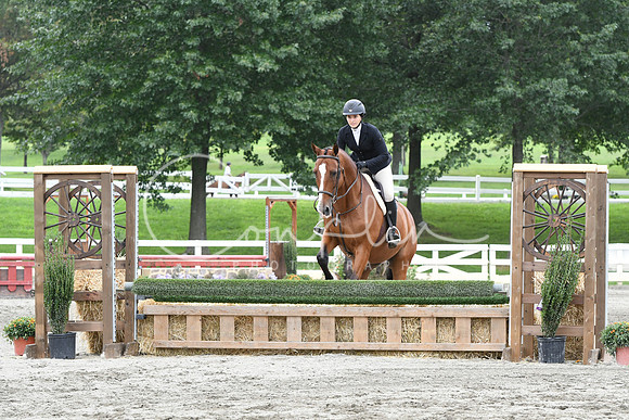 HSM_3672