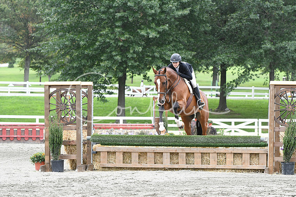 HSM_3674