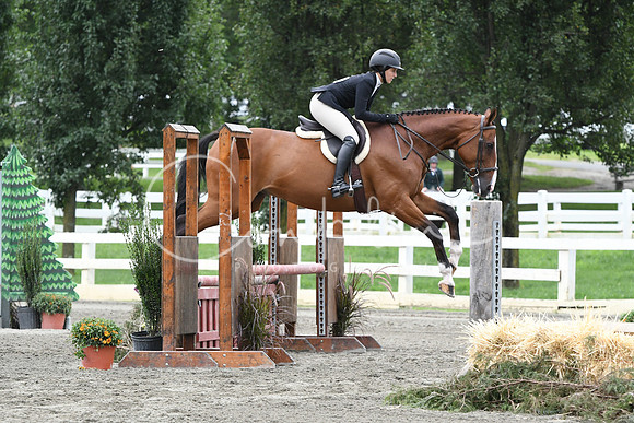 HSM_3731