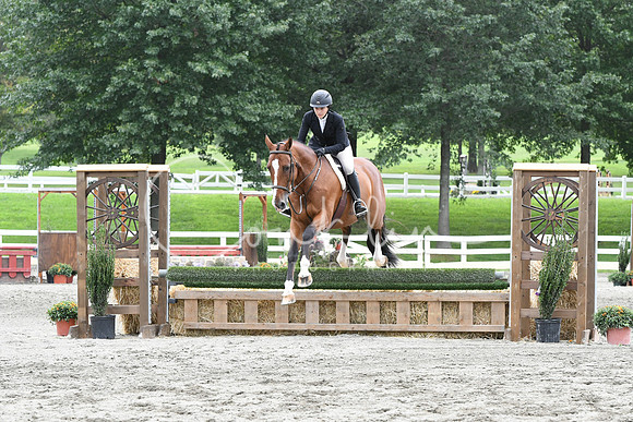 HSM_3737