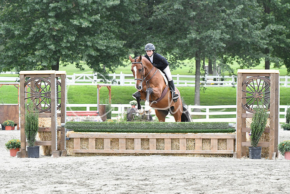 HSM_3793