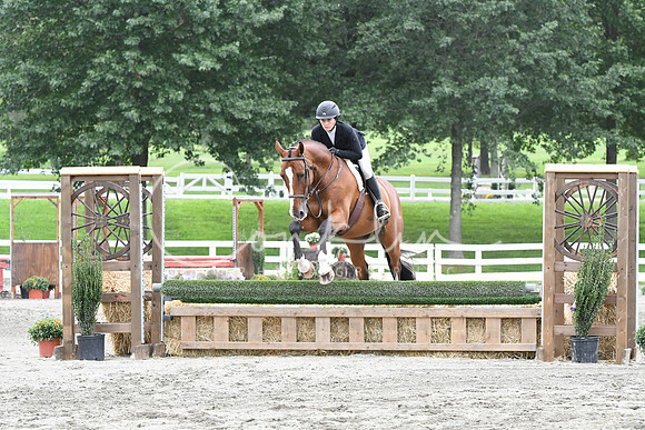HSM_3794