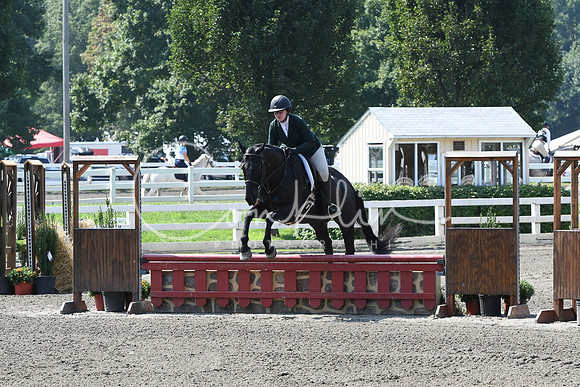 HSM_0397