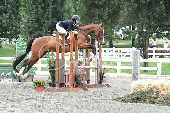 HSM_3798