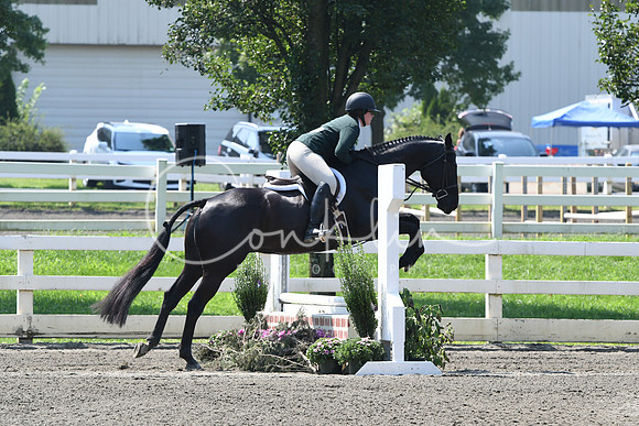 HSM_0399