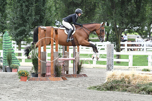 HSM_3799