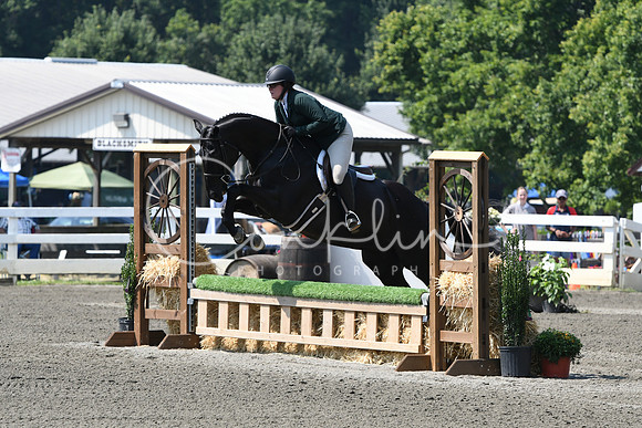 HSM_0401