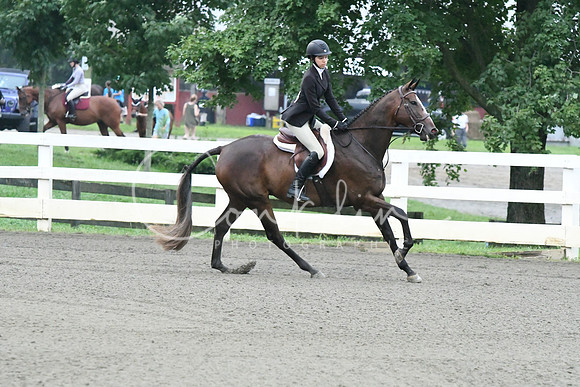 HSM_0866