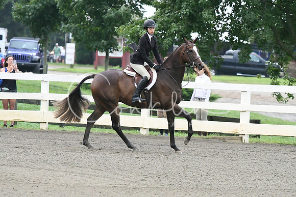 HSM_0917