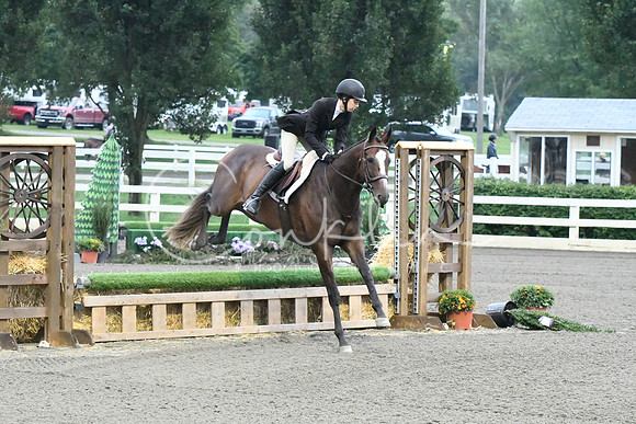 HSM_0929