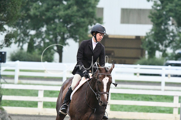 HSM_0933