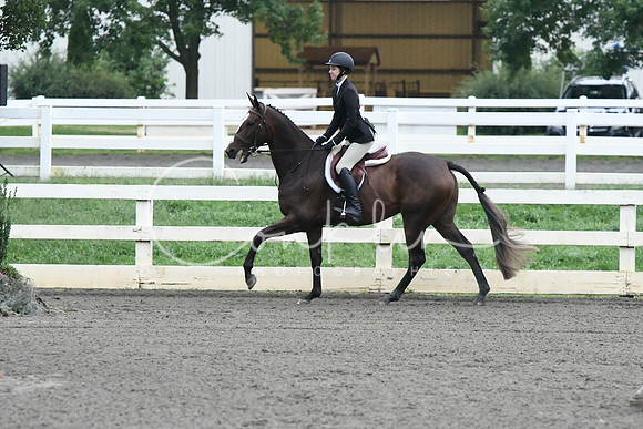 HSM_0977