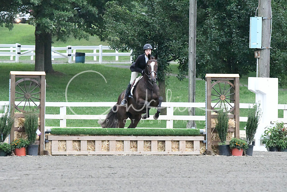 HSM_0979