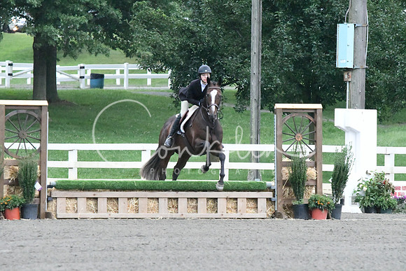 HSM_0980