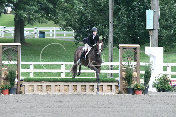 HSM_0981