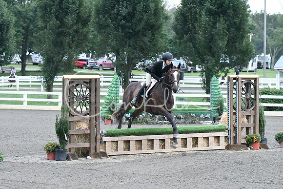 HSM_0983
