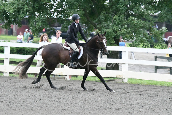 HSM_0991