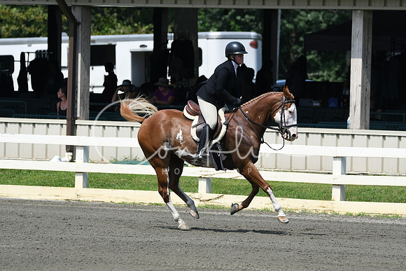 HSM_0629