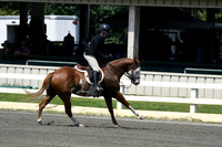 HSM_0660