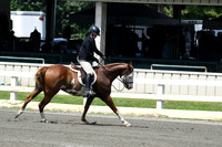 HSM_0661
