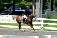 HSM_0662