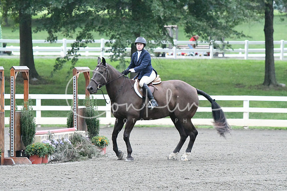 HSM_1040