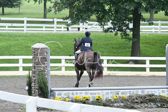 HSM_1041
