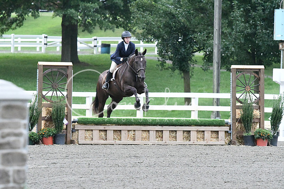 HSM_1043